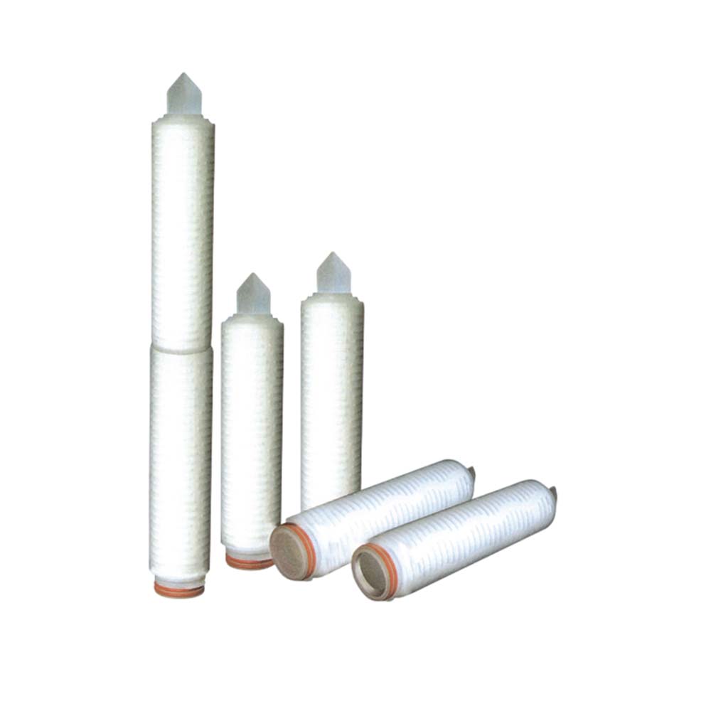 Sterilizing Filter
